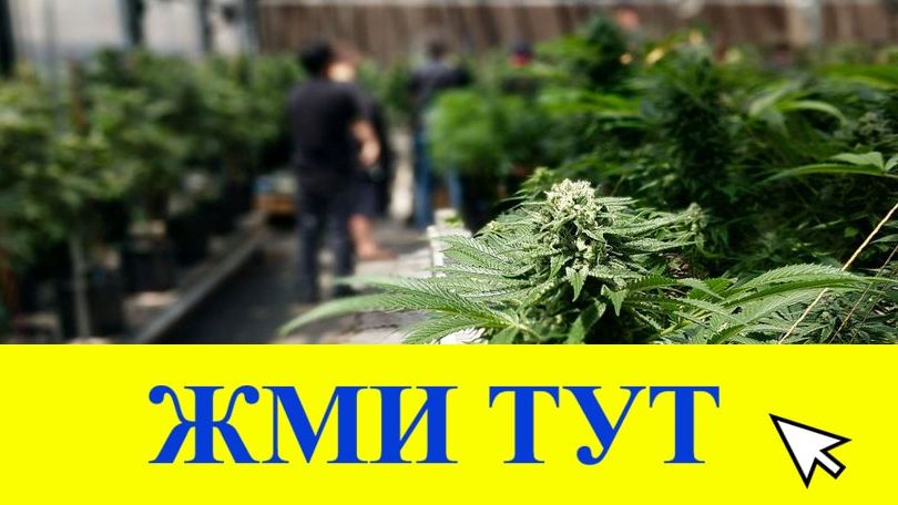 Купить наркотики в Вуктыле